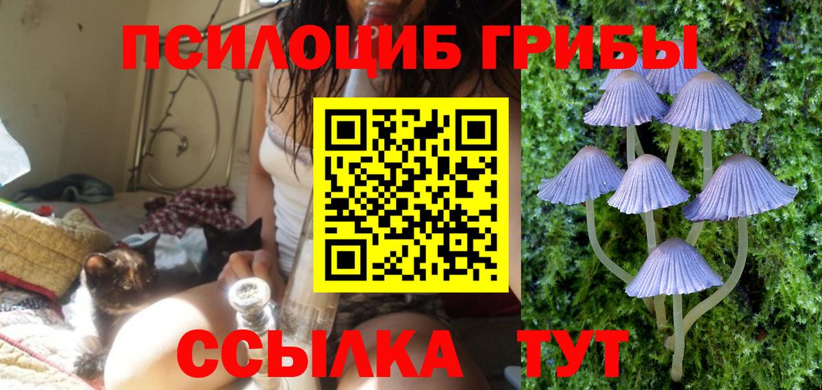 Псилоцибиновые грибы MAGIC MUSHROOMS  наркошоп  Жигулёвск 