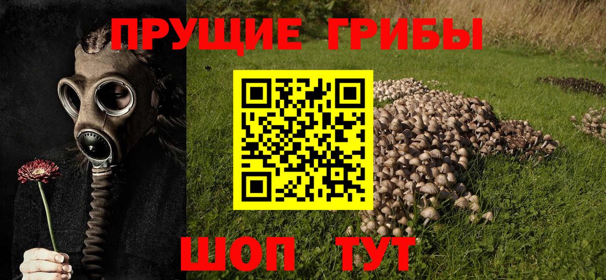 Псилоцибиновые грибы ЛСД  Вход с VPN  Жигулёвск 